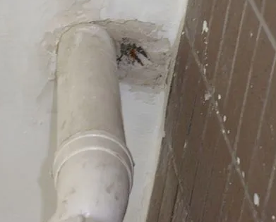 永兴漏水检测哪家好